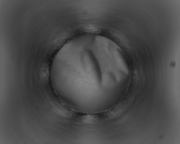 X0000091450320200708301815