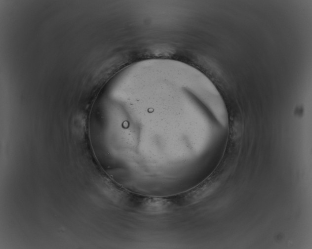 X0000091450321200708301815