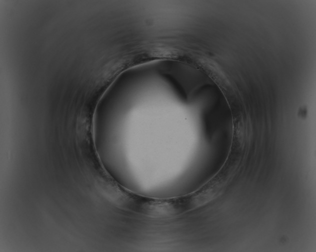 X0000091450322200708301815
