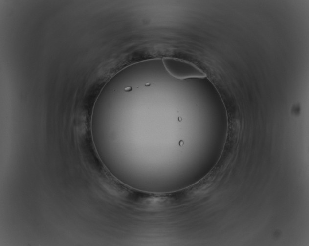 X0000091450323200708301815