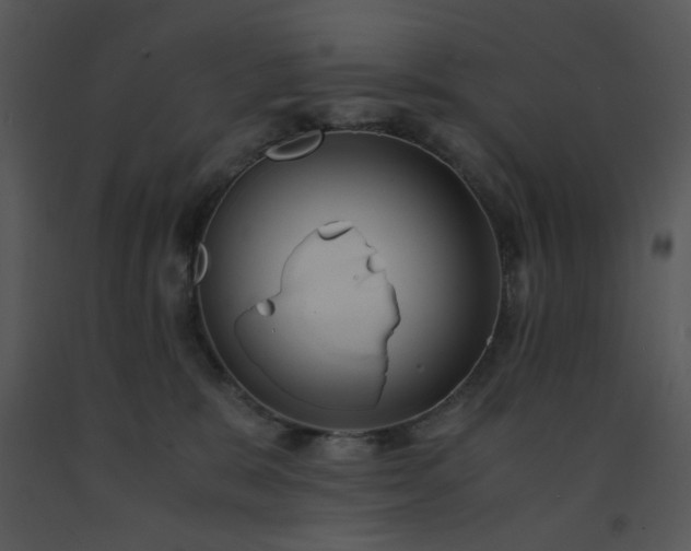 X0000091450327200708301815