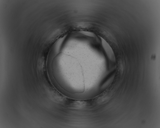 X0000091450328200708301815