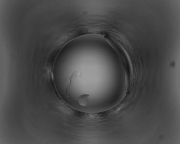 X0000091450329200708301815