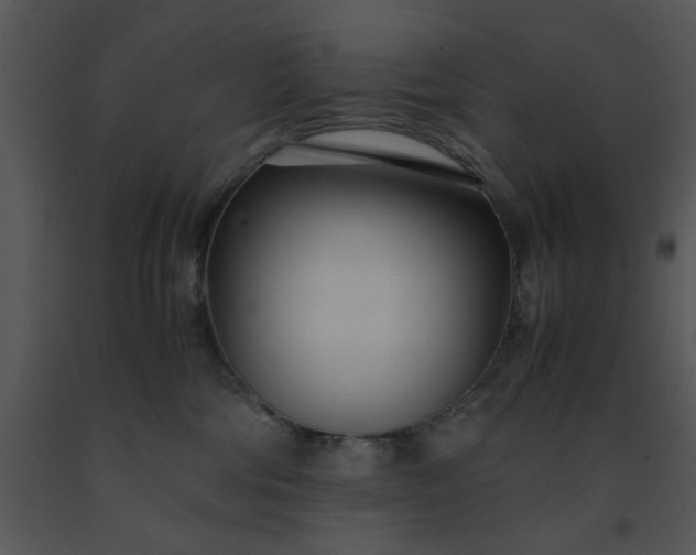 X0000091450330200708301815