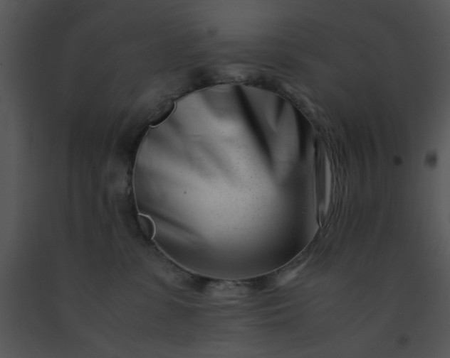 X0000091450331200708301815