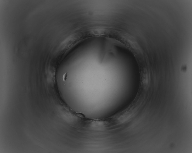 X0000091450332200708301815