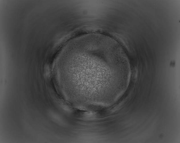 X0000091450335200708301815