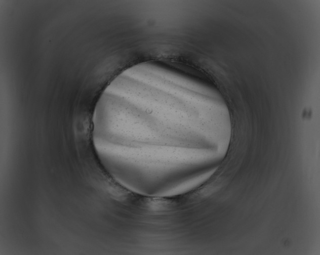 X0000091450336200708301815