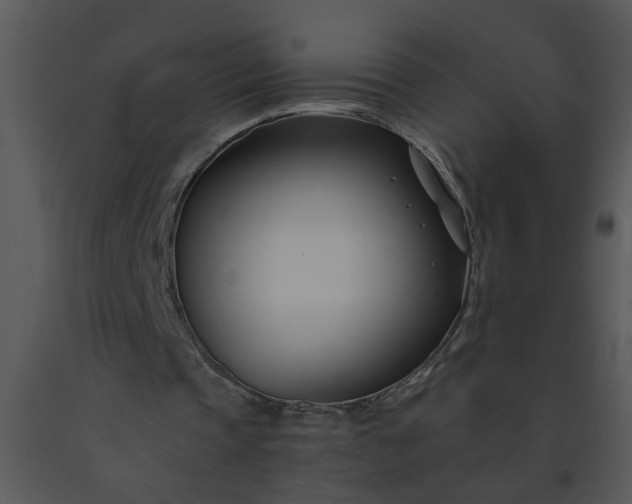 X0000091450337200708301814