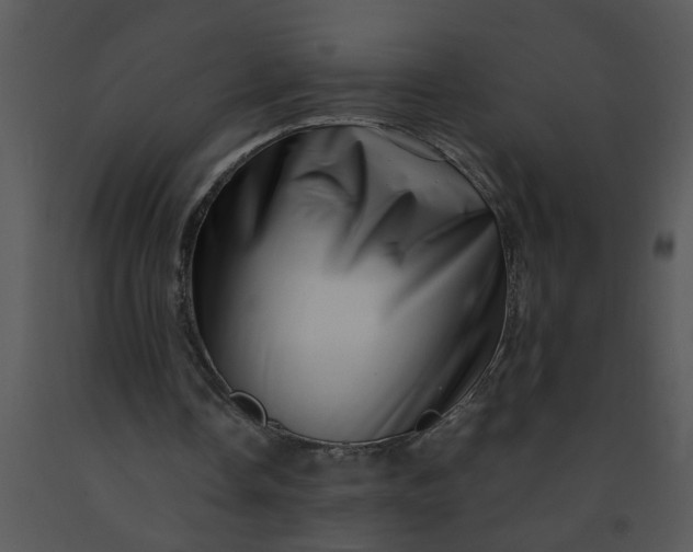 X0000091450338200708301814