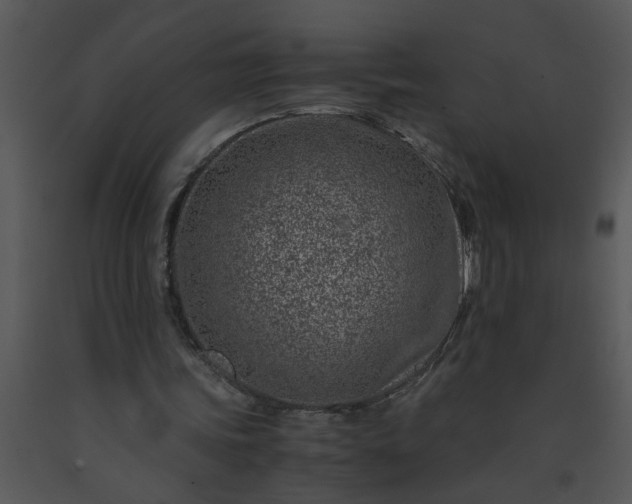 X0000091450339200708301814
