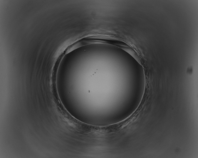 X0000091450340200708301814