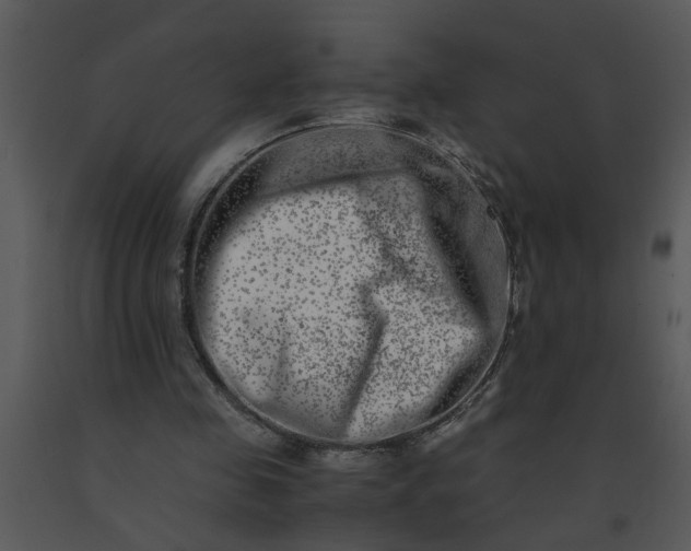 X0000091450341200708301814
