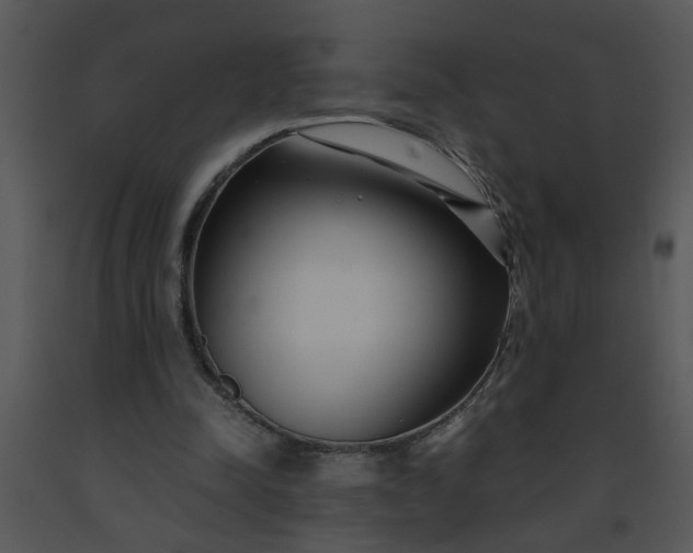 X0000091450342200708301814