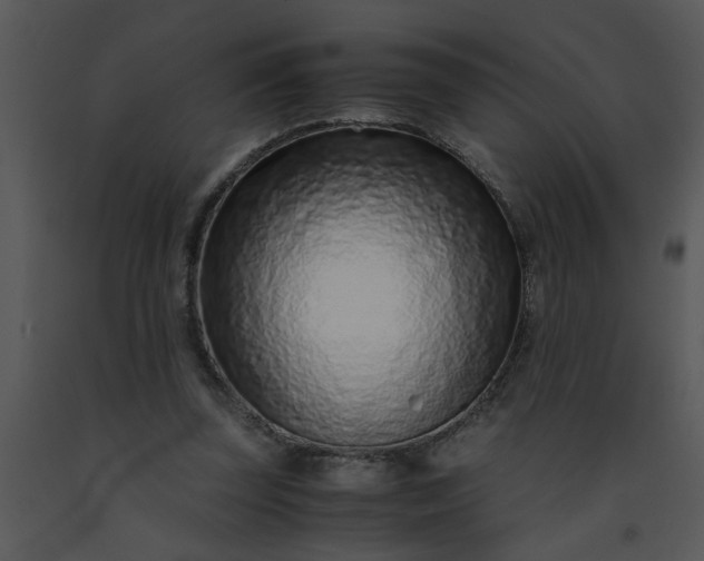 X0000091450347200708301814