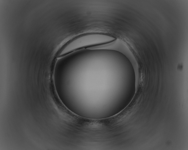 X0000091450348200708301814