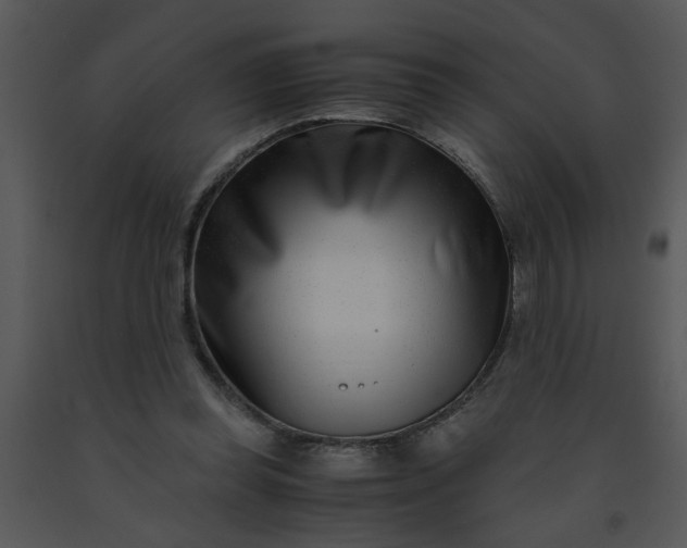 X0000091450349200708301814