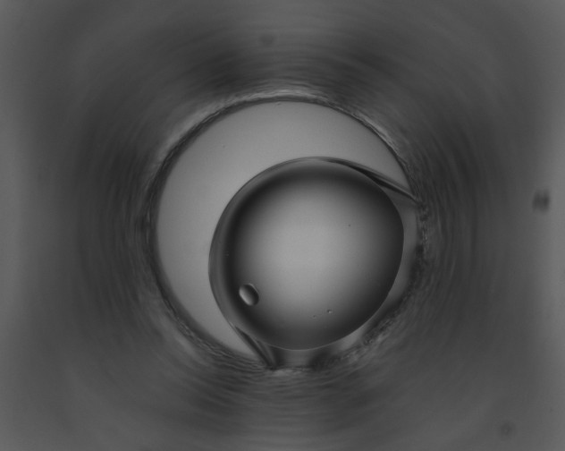 X0000091450350200708301814