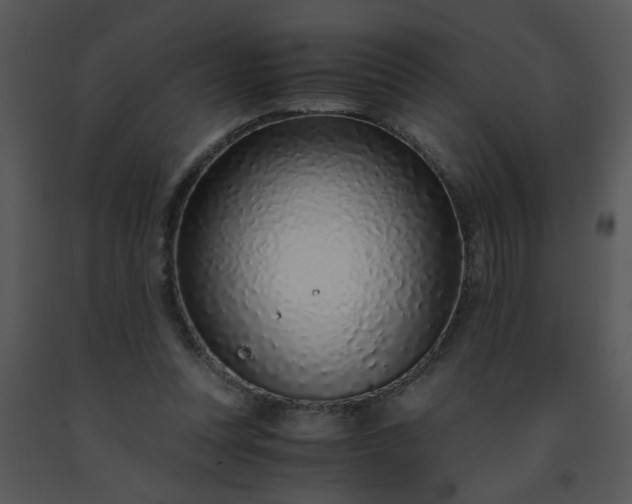 X0000091450351200708301814