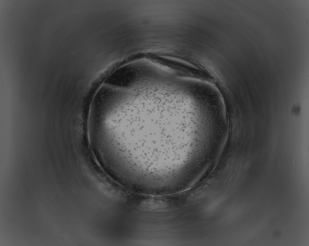 X0000091450354200708301814
