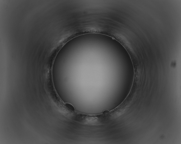 X0000091450355200708301814