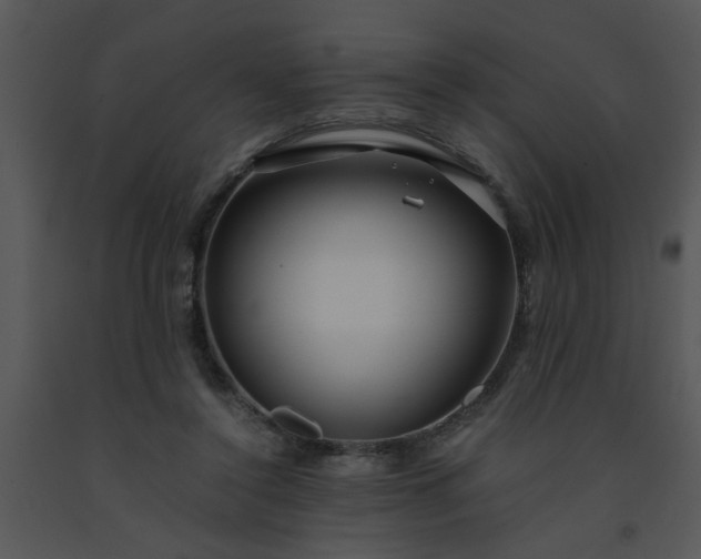 X0000091450356200708301814