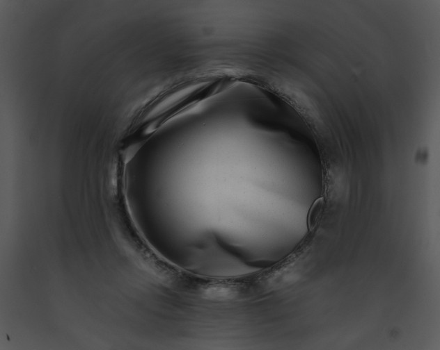 X0000091450358200708301815