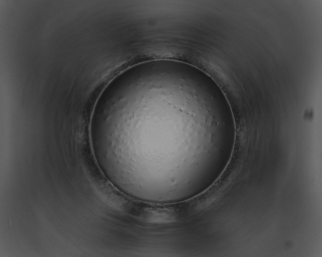 X0000091450359200708301815