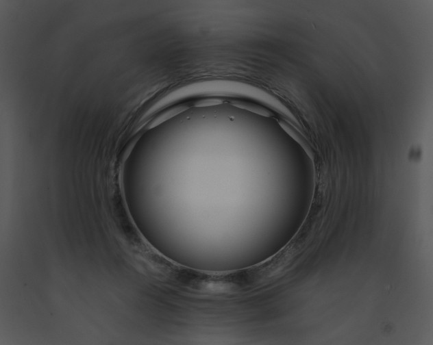 X0000091450360200708301815