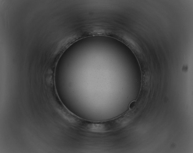X0000091450361200708301815