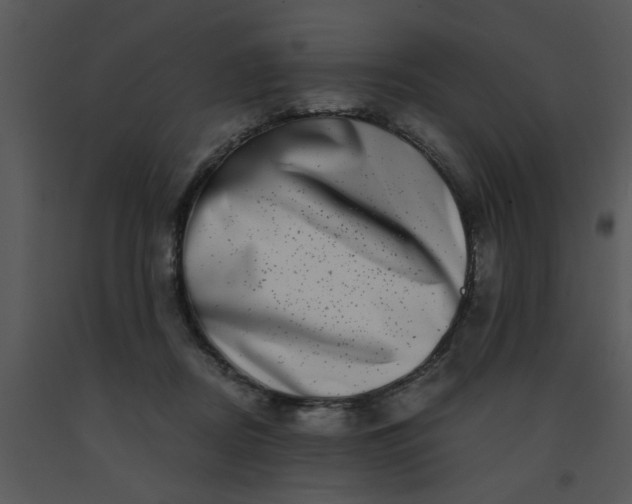 X0000091450362200708301815