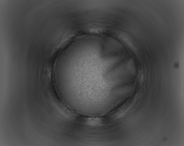 X0000091450363200708301815