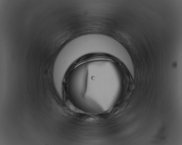 X0000091450364200708301815