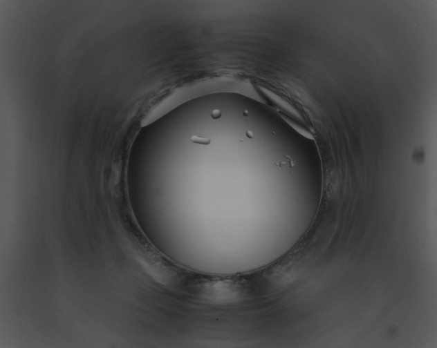 X0000091450365200708301815