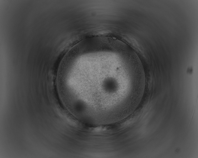 X0000091450366200708301815