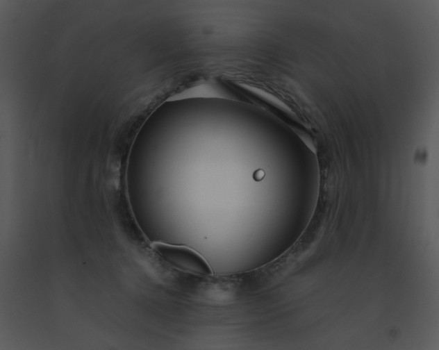 X0000091450368200708301815