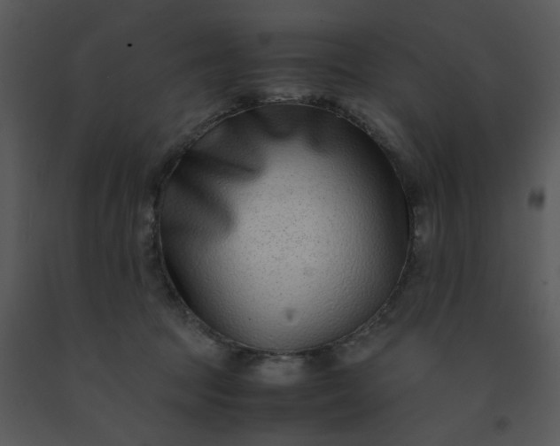 X0000091450369200708301815