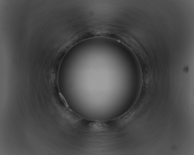 X0000091450372200708301815