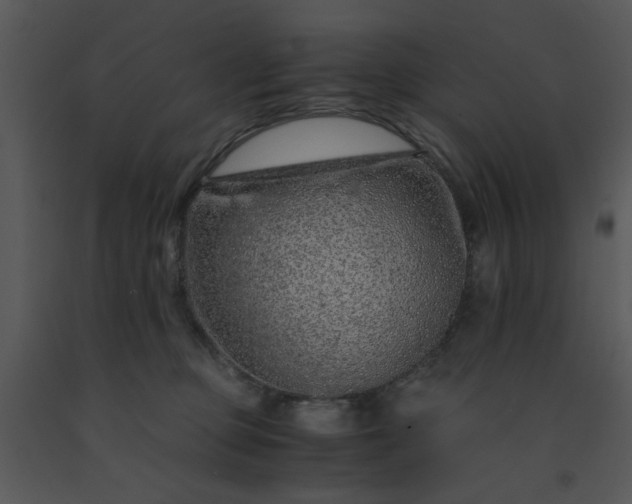 X0000091450373200708301815