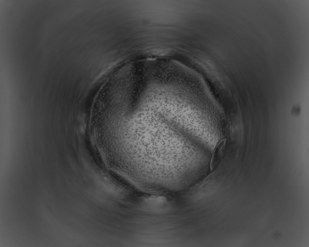 X0000091450374200708301815