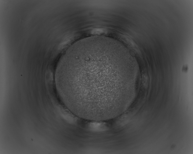 X0000091450375200708301815