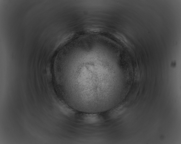 X0000091450377200708301815