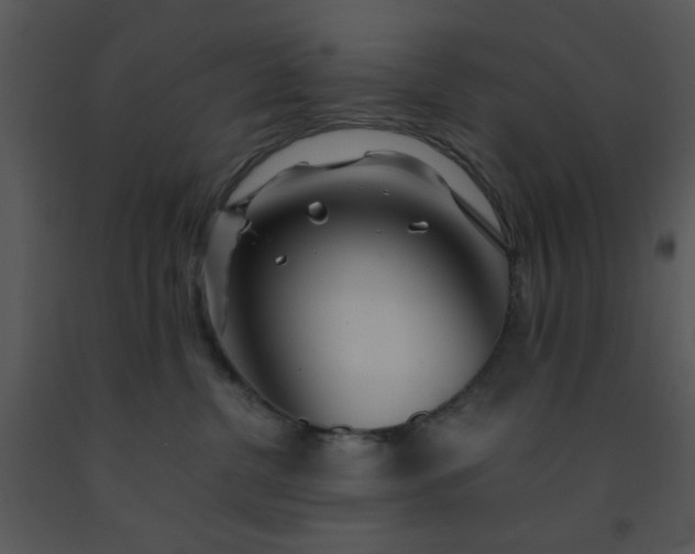X0000091450380200708301815