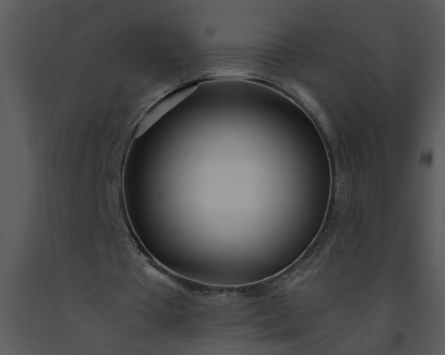 X0000091450385200708301814