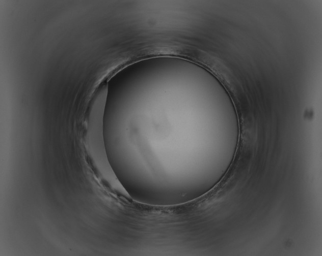 X0000091450386200708301814