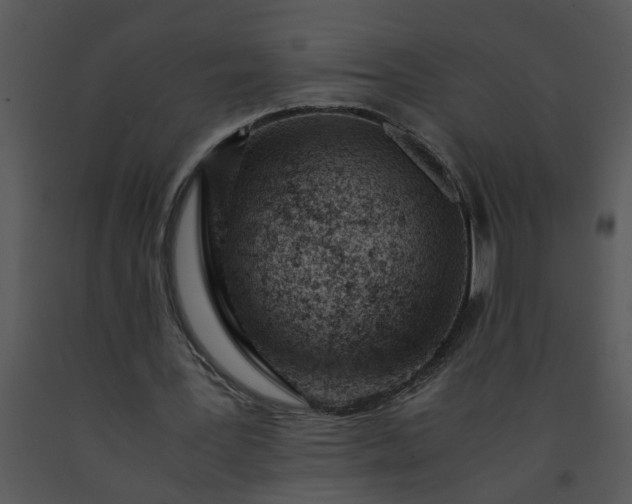 X0000091450387200708301814