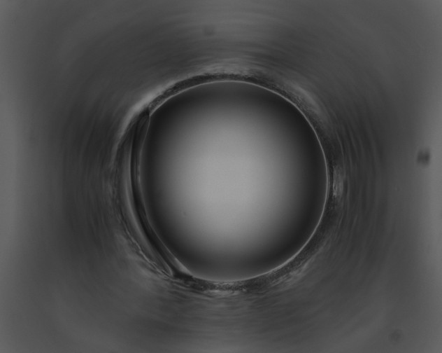 X0000091450388200708301814