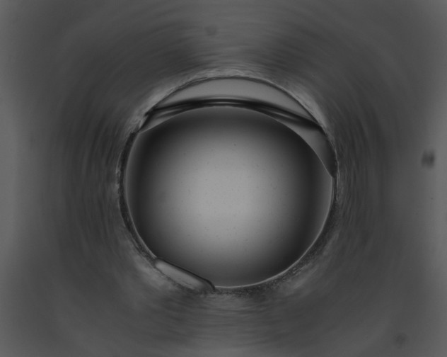 X0000091450389200708301814