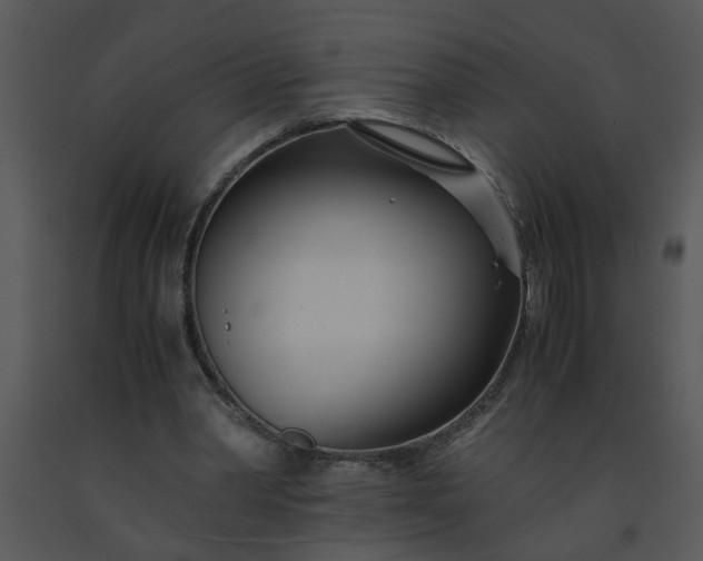 X0000091450390200708301814