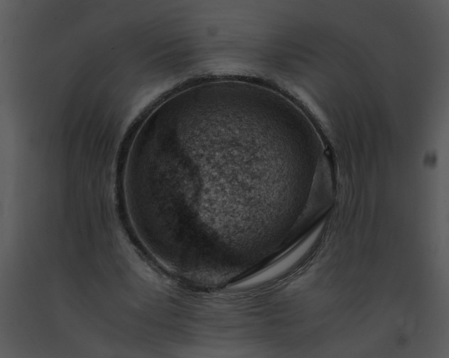 X0000091450391200708301814